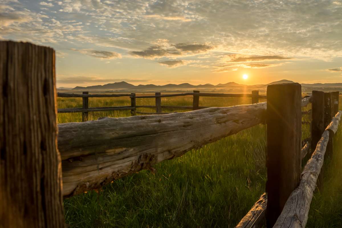 AdobeStock_227957663 AdobeStock_227957663