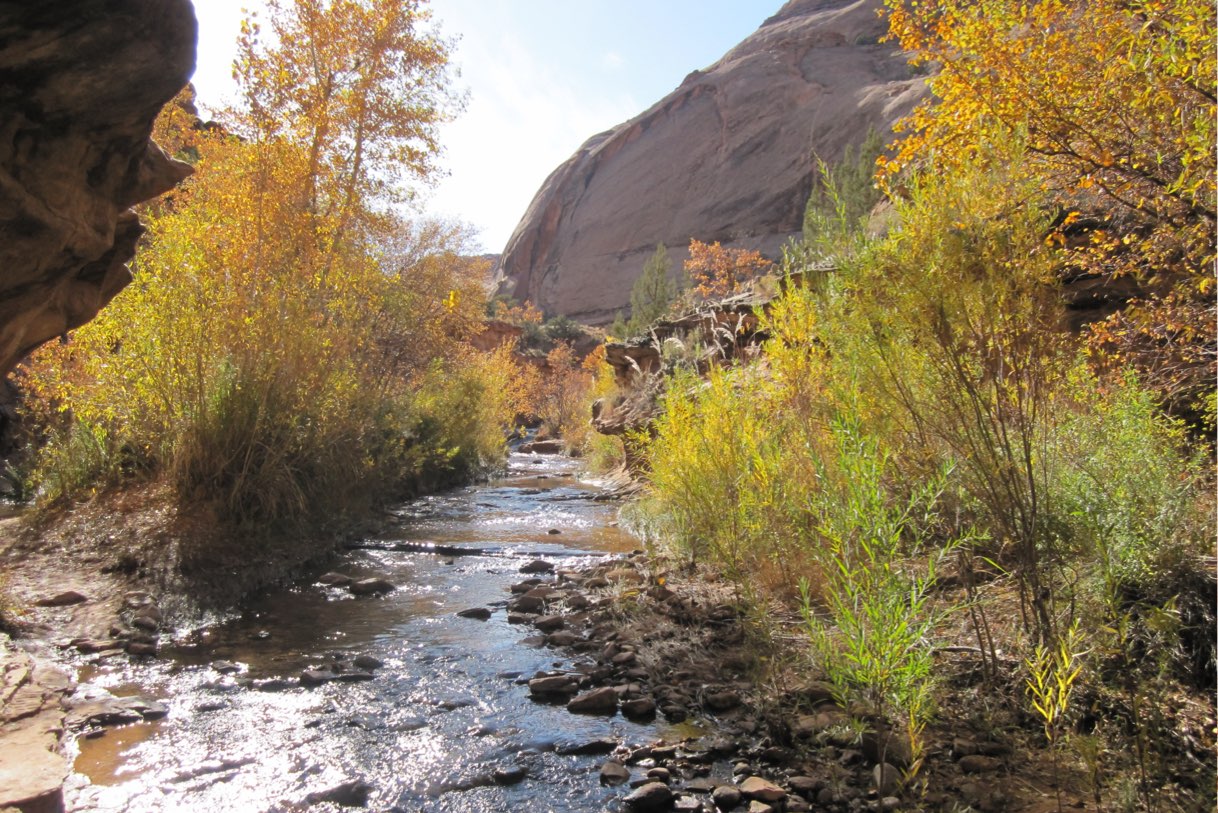 Morning in Moab by the river Morning by the river, camping adventure trip, New Haven Residential Treatment Center